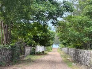 a dirt road with trees and a stone wall at La Maison Bougainvillea in Mahabalipuram