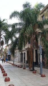 a street with palm trees on the side of a street at Sarandí Lofts in Montevideo
