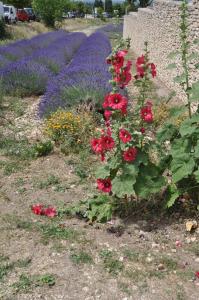 Afbeelding uit fotogalerij van Le Petit Labouret in Revest-du-Bion