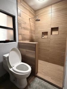 a bathroom with a toilet and a shower at Alojamiento en Tambaca, Tamasopo SLP in Tambaca