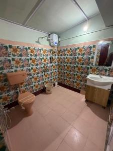 a bathroom with a toilet and a sink at Vina Homestay in Jorhat