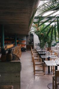 a dining room with tables and chairs and palm trees at Casa TO - Adults Only in Puerto Escondido