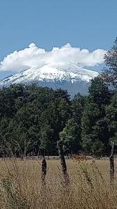 a snow covered mountain in a field with trees at Vista Insuperable in Villarrica