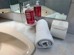 a bathroom with a sink and a towel and a mirror at Seeblick Labud 20 Bosau in Bosau +27 photos