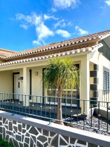 a building with a fence and a palm tree at "Fifi House" in Estreito da Calheta