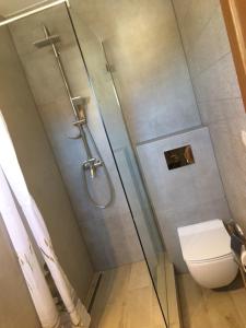 a shower stall in a bathroom with a toilet at HOTEL Tyrapol - izby in Oravská Lesná