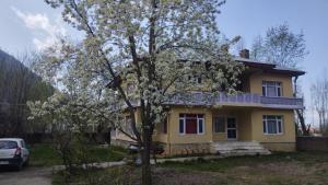 a yellow house with a tree in front of it at Bunk Home stay in Srinagar