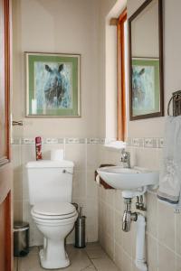 a bathroom with a toilet and a sink at 119 Zebula in Mabula +48 photos