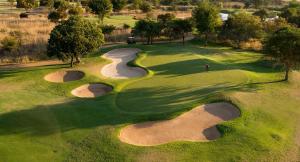 an overhead view of a golf course with a golfer on the green at 119 Zebula in Mabula
