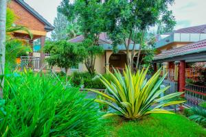 a garden with plants in front of a building at Beaco Resort in Mbeya