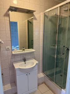 a bathroom with a sink and a shower at Hôtel La Renaissance in Arlanc