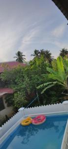 two frisbees sitting on the edge of a swimming pool at LumaYan, Guesthouse and Cabin in Yan