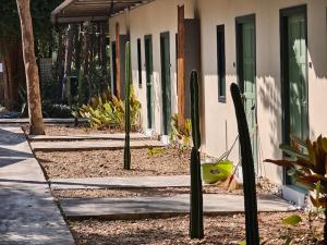 a group of cacti in front of a house at สวนธรรมคยา in Ban Dan Chang