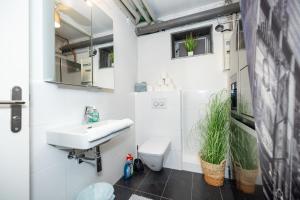 a bathroom with a sink and a toilet at Wellnessoase mit Sauna und Garten in Würzburg +19 photos