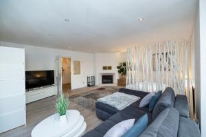 a living room with a blue couch and a tv at Wellnessoase mit Sauna und Garten in Würzburg