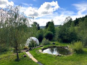 a pond in the middle of a grassy field at Le printemps, gîte nature in Bruyères +13 photos