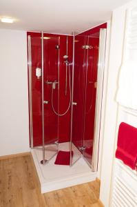 a bathroom with a shower with red walls at BB Blick Hotel und Café in Bad Bellingen