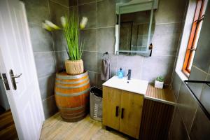 a bathroom with a sink and a barrel with a plant in it at FIG TREE HOUSE Entire holiday home, self catering, 4 bedroom, 2 bathroom, deck and garden in Durban +27 photos