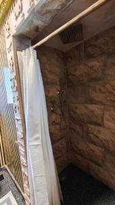 a bathroom with a shower in a wooden wall at Pyramids Mystery Inn in Cairo