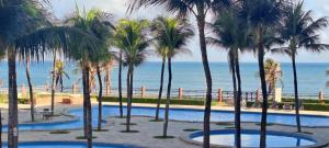a group of palm trees in front of the ocean at Beach Front Apartment Kariri in Caucaia