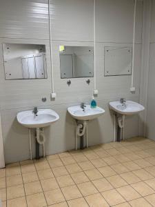 ein Badezimmer mit drei Waschbecken und Spiegeln an der Wand in der Unterkunft Pecinci Hostel in Pećinci