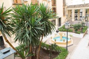 Bazén v ubytovaní Apartamentos Sevilla Palace alebo v jeho blízkosti