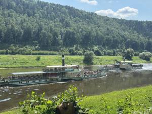 a group of boats traveling down a river at Bungalow Schönblick in Pirna