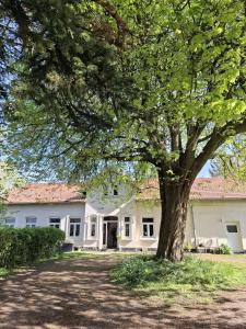 a large white house with a tree in front of it at Ferienwohnung Meeresglück in Kruså