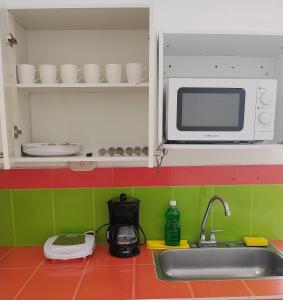 a kitchen with a sink and a microwave at Apartamento Rústico Moderno in Ruiosucio