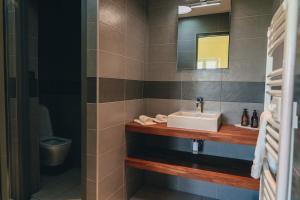 a bathroom with a sink and a mirror and a toilet at Château La Voûte in Saint-Étienne-de-Lisse +20 photos