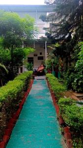 a blue pathway with green plants and a building at Homestay Urmil Basant in Jaipur +7 photos