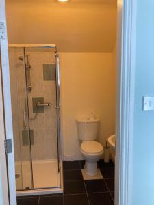 a bathroom with a toilet and a glass shower at The Sheepshead Guesthouse in Durrus +11 photos