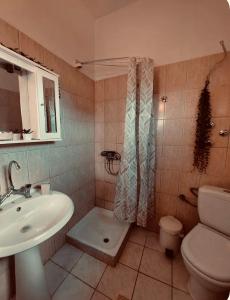 a bathroom with a sink and a toilet and a shower at Sophia in Sfendámion +11 photos