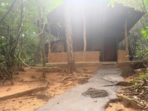 a house in the middle of a forest with the sun shining at Kamatha Eco Lodge in Habarana