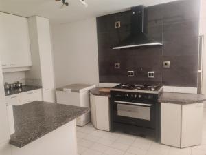 a kitchen with a stove and a counter top at Kahunaz in Vereeniging