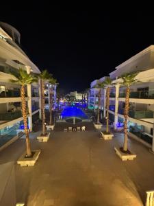 a group of palm trees in a courtyard at night at Orins place eilat in Eilat