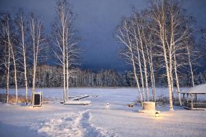 a snow covered field with trees and a gazebo at Berzkrasti Lake House with Private Sauna & Beach in Sigulda