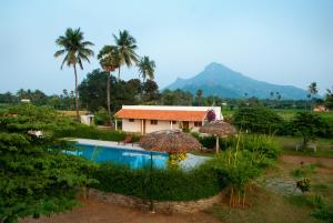 a house with a swimming pool and palm trees at The Mountain Retreat in Tiruvannāmalai