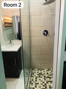 a bathroom with a shower with a sink and a mirror at The Bright Guest House in Pretoria +20 photos