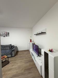 a living room with a couch and a tv at Apartman AURORA Trstenik in Trstenik