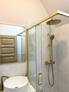 a bathroom with a shower and a white sink at Pensiunea agroturistica Elena in Drăgoiasa +21 photos