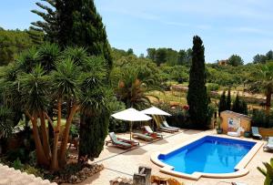 an outdoor swimming pool with palm trees and umbrellas at Finca Caballo Blanco in Montuiri
