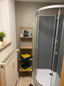 a bathroom with a shower with towels on a shelf at Pension EdHeLo in Barby +20 photos