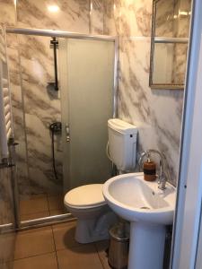 a bathroom with a shower and a toilet and a sink at Theodora Hostel in Istanbul