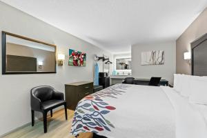 a hotel room with a bed and a mirror at Red Roof Inn Panama City Beach in Panama City Beach +24 photos