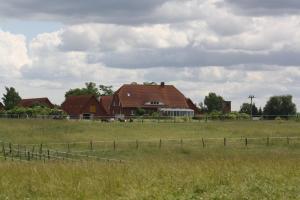 a house in a field next to a fence at Pferdehof Ruhnau in Potzlow