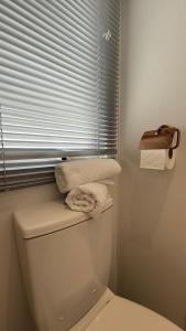 a bathroom with a toilet with a window and towels at Andes in Dronrijp +16 photos