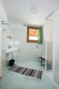 a bathroom with a shower and a sink and a toilet at Appartamenti Anna & Kim in Livigno
