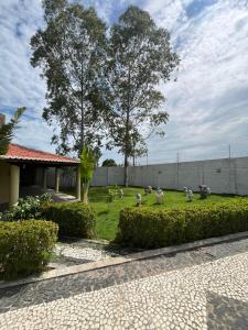 a group of birds standing in the grass at Chácara Rbs in Sobral