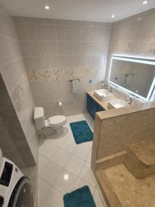 a bathroom with a toilet and a sink and a mirror at Sunny Bluu Villas in Meads Bay +22 photos